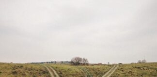 Czym jest ambiwalencja? Plus 10 wskazówek, jak podejmować lepsze decyzje – Calm Blog