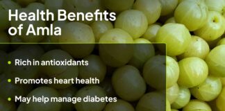 Освобождение силы амлы: 5 польз для здоровья, подтверждённых наукой