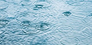 Navigating the Unthinkable: Coping with Stillbirth