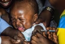 Нове лікування малярії демонструє високі показники одужання в умовах продовження глобальних зусиль