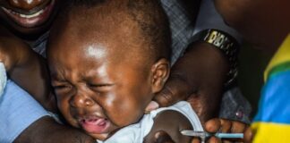 Нове лікування малярії демонструє високі показники одужання в умовах продовження глобальних зусиль