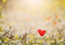 Día de San Valentín en solitario: por qué estar solo puede ser una victoria