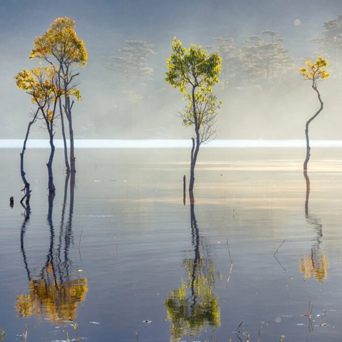 13749b5e-bb7c-4d8c-a528-1b54ebee886a