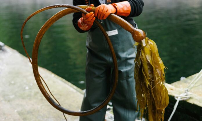 e5f4841b-2d62-4f19-80f8-6600fe73396e