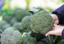 De verrassende kracht van broccoli: een complete gids over voordelen en variëteiten