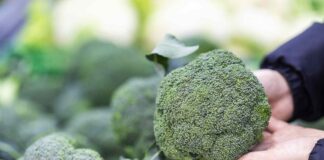 The Surprising Power of Broccoli: A Complete Guide to Benefits and Varieties