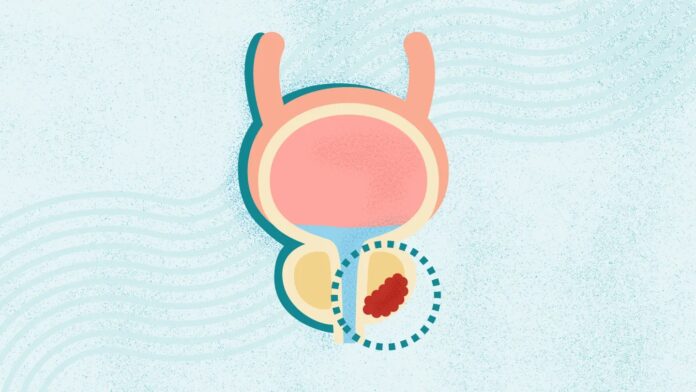 f407fc9c-c5c6-450c-9a65-1d606321b6d6