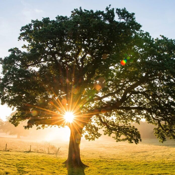 bfe504fe-8013-492a-a7e9-f6c3162b8b52