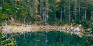 Die Welt kippte. Was jetzt?