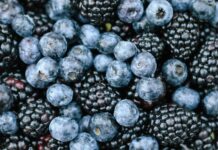Їжте правильні продукти, а не просто «суперфуди»: як поліфеноли захищають мозок від старіння