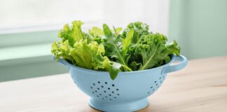 The Dirt on Salad