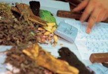 Comment la MTC traite le rhume des foins : herbes, acupuncture et alimentation