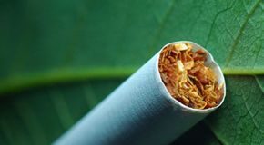 The Accidental Invention of Smoking: How Tobacco Went From Weed to Ritual